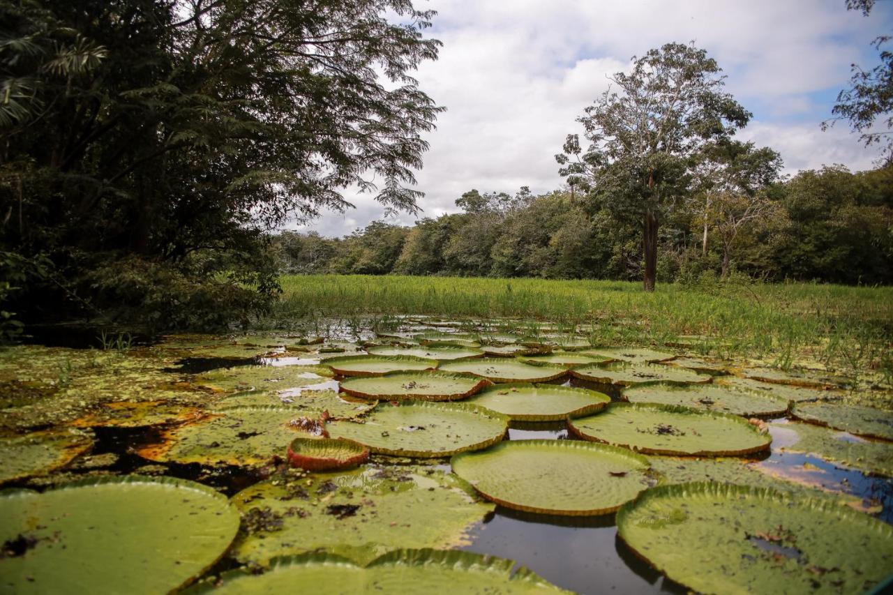 Amazonia Jungle Hotel Iranduba Exterior foto